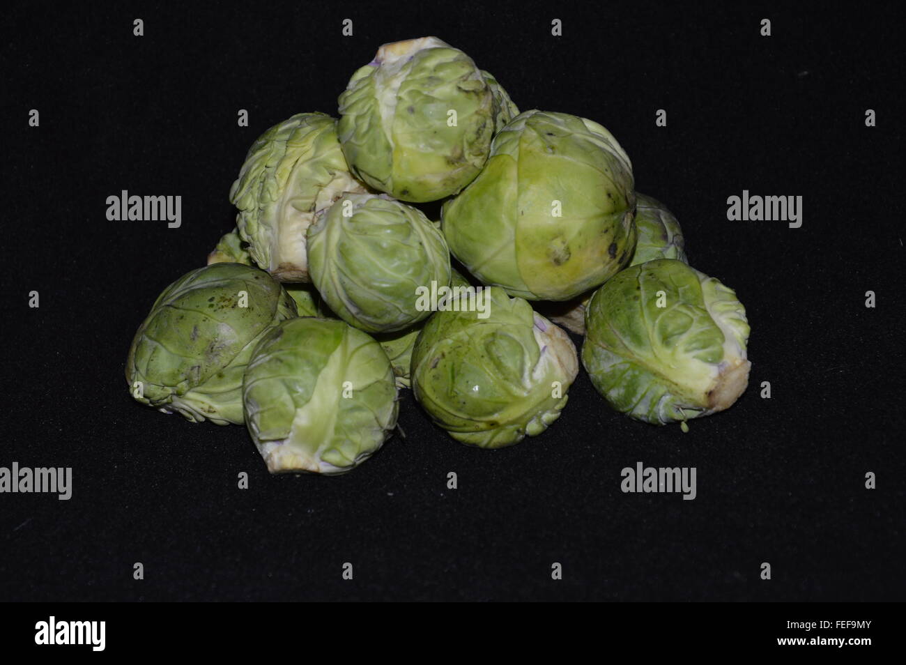 Gemüse Rosenkohl auf schwarzem Hintergrund Stockfoto