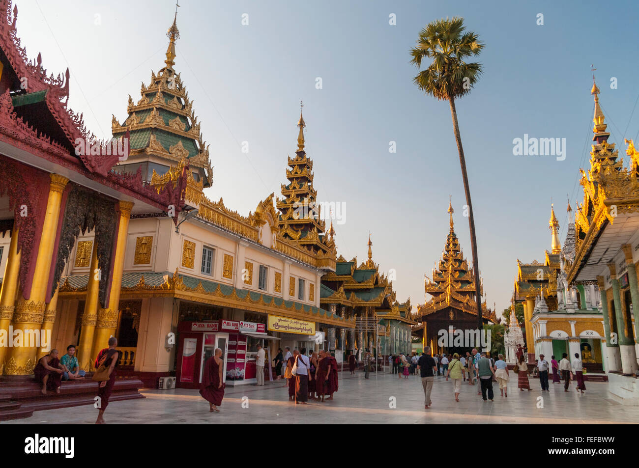 Shwedagon Zedi Daw-Pagode, auch bekannt als die Goldene Pagode oder große Dagon Pagode. Yangon, Myanmar. Am späten Nachmittag. Stockfoto