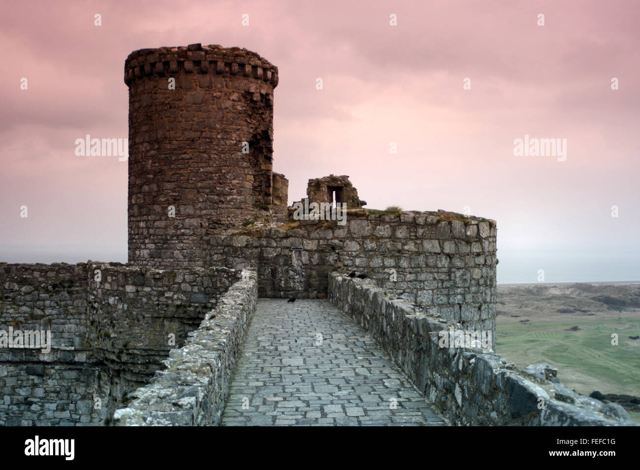 Harlech Castle Gwynedd Nord-Wales Stockfoto