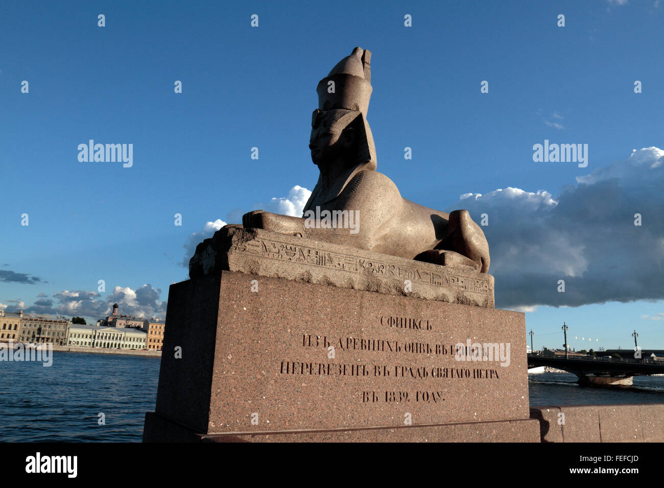 Eines der zwei ägyptische Sphinx auf Unversitetskaya Naberezhnaya (University Embankment) in St. Petersburg, Russland. Stockfoto