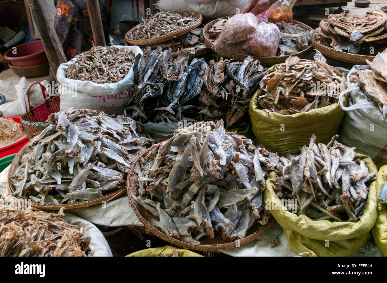 Marktstand mit verschiedenen Arten von getrockneten Fisch. Nyaung U (Bagan), Mandalay Region, Myanmar. Stockfoto