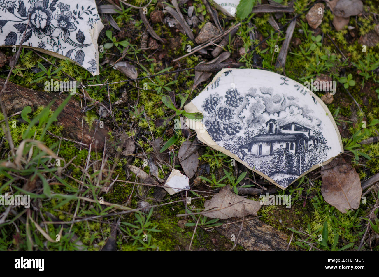 Defekte Platte, kleines Landhaus auf Waldboden darstellen. Stockfoto
