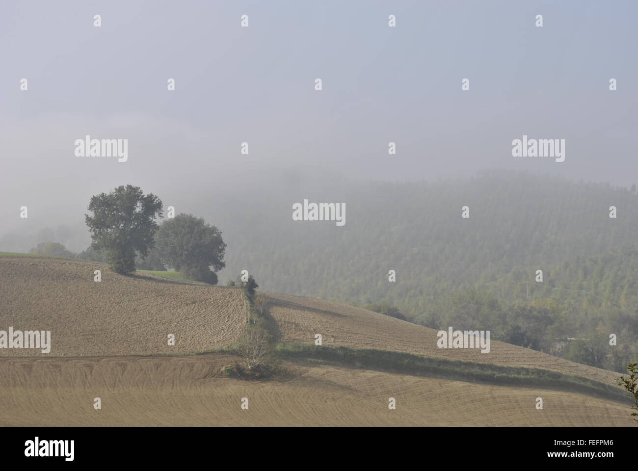 Malerische Morgennebel italienischen Landschaft Fermignano Italien Stockfoto