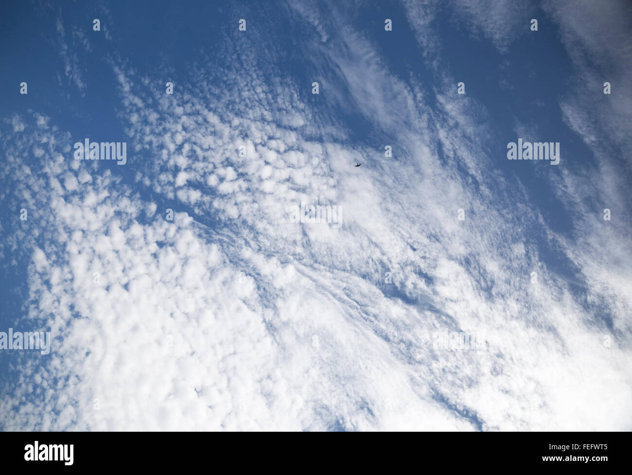 weiß, Altocumulus, Wolken, blauer Himmel, Makrele Himmel, Stockfoto