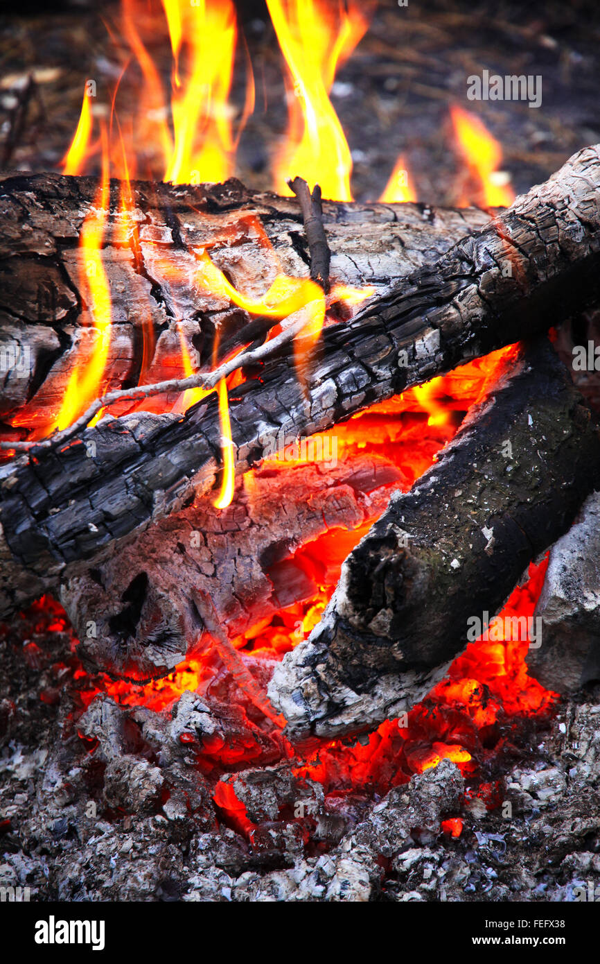 Nahaufnahme aus Holz Lagerfeuer mit glühenden Kohlen Stockfoto
