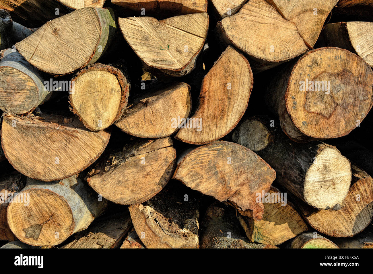 Holzschnitt auf dem Betriebshof des Protokolls und zum Verkauf bereit. Stockfoto