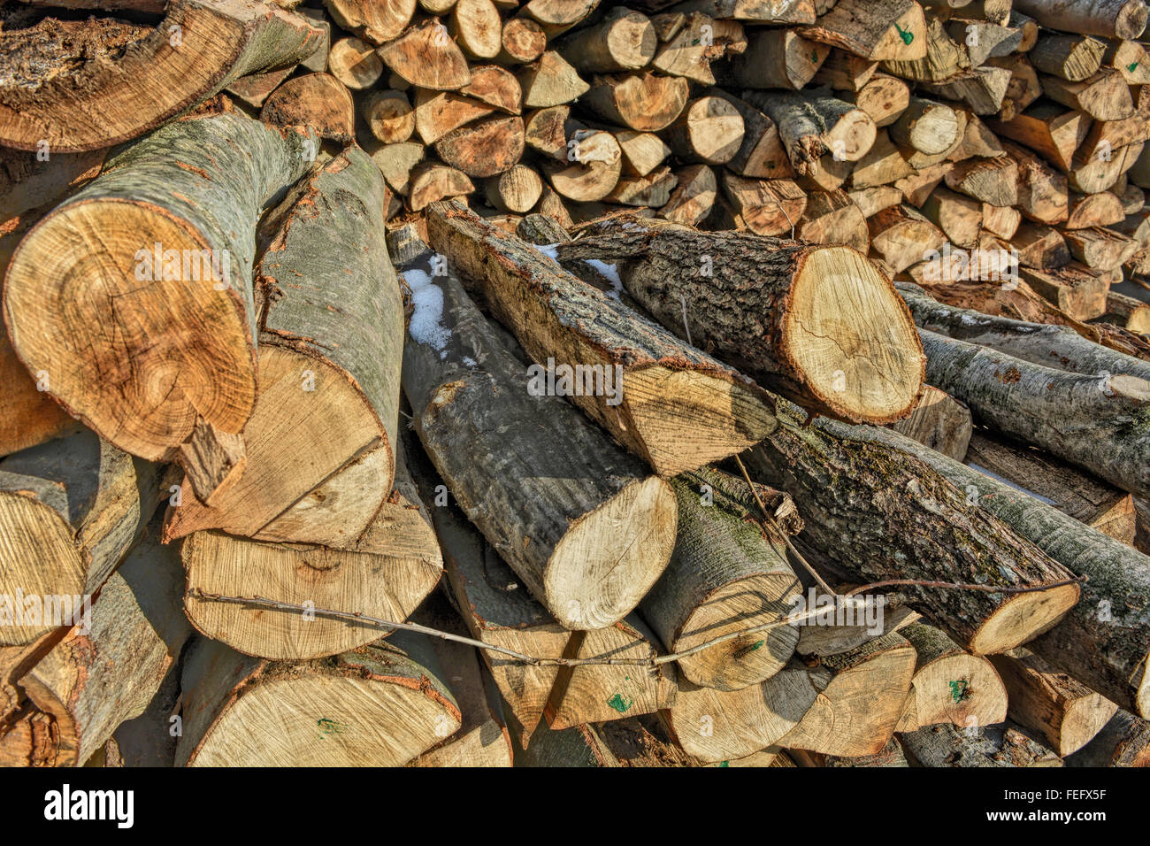Holzschnitt auf dem Betriebshof des Protokolls und zum Verkauf bereit. Stockfoto