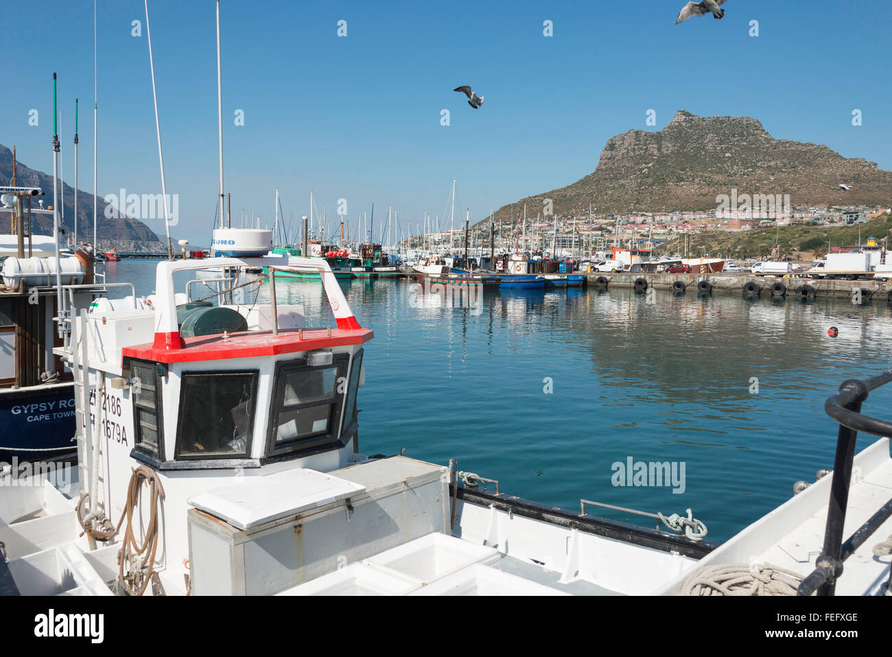 Angelboote/Fischerboote im Hafen von Hout Bay, Kap-Halbinsel, Stadtverwaltung von Kapstadt, Westkap, Südafrika Stockfoto