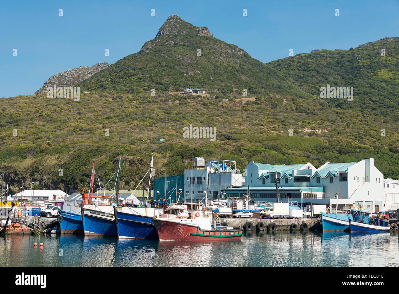 Angelboote/Fischerboote im Hafen von Hout Bay, Kap-Halbinsel, Stadtverwaltung von Kapstadt, Westkap, Südafrika Stockfoto