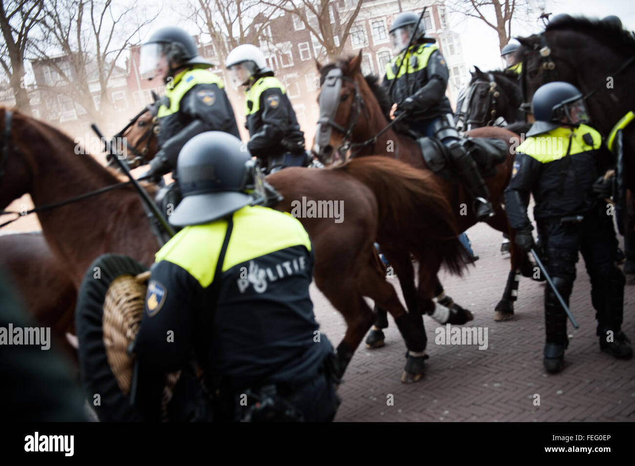 Flüchtling, Rassismus nicht willkommen! Demonstration, Amsterdam, Niederlande. Amsterdam, Niederlande. 06. Februar Riot Polizei kollidierte mit Demonstranten in Amsterdam als Unterstützer der Anti-Islam-Gruppe PEGIDA versucht, ihre ersten Protest in der niederländischen Hauptstadt abzuhalten. Nur etwa 200 PEGIDA Verfechter waren anwesend, in der Unterzahl durch Polizei und linken Demonstranten, die rief: "Flüchtlinge sind willkommen, Faschisten nicht!" Niederländische Polizei verhaftet mehrere Personen als Offiziere auf dem Pferderücken interveniert, um die zwei Gruppen von Demonstranten zu trennen. Bildnachweis: Romy Arroyo Fernandez/Alamy Live-Nachrichten. Stockfoto