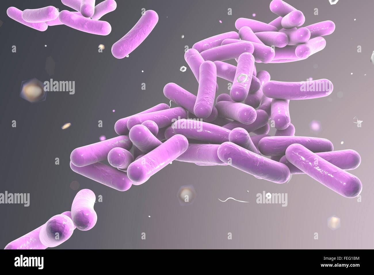 Illustration von stäbchenförmigen Bakterien. Stäbchenförmige Bakterien zählen Escherichia coli, Salmonellen, Shigellen, Legionellen, Stockfoto