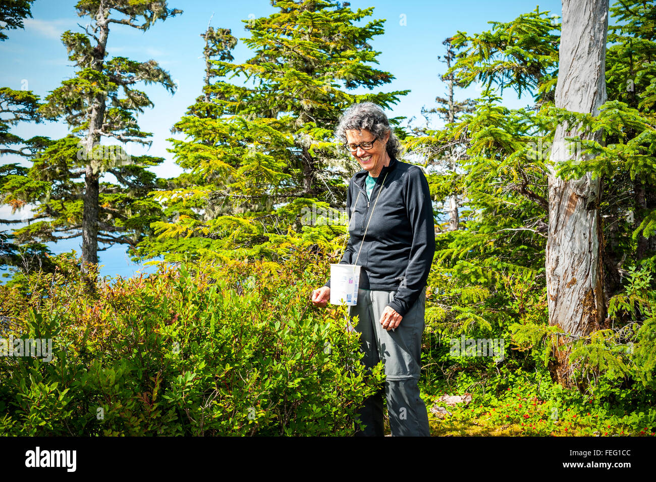 Frau genießt das Wetter beim Pflücken von Beeren auf Hafen Berg in der Nähe von Sitka, Alaska, USA. Stockfoto