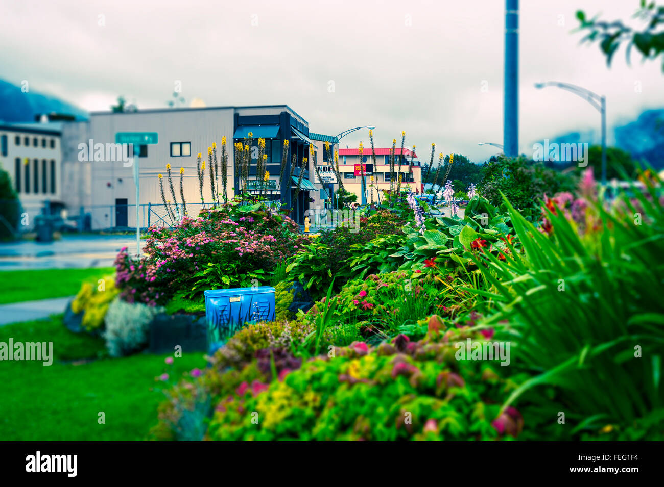 Straßenecke Garten Straßenszene in Sitka, Alaska, USA. Stockfoto