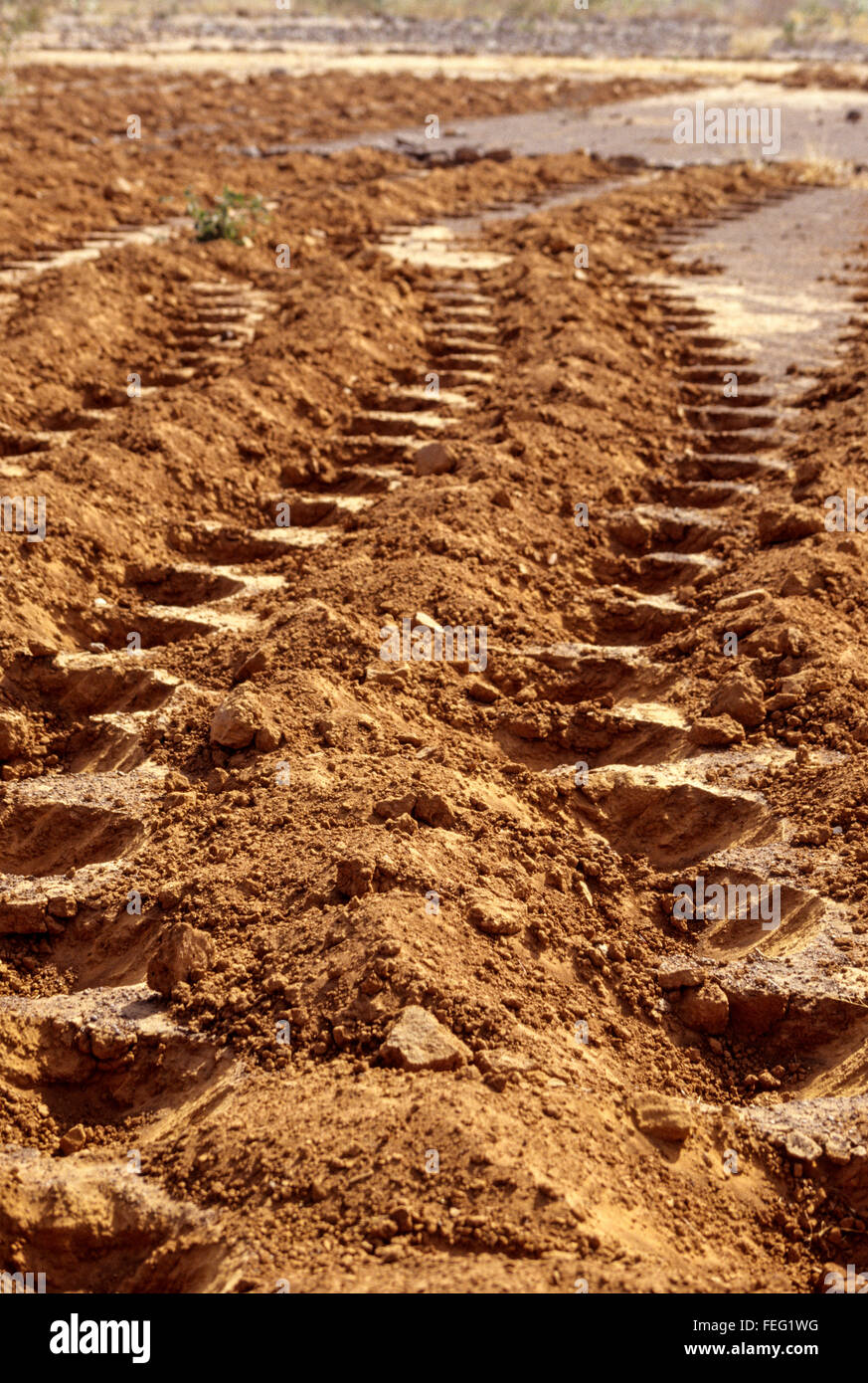 Niger, Westafrika.  Zai Löcher, eine Methode der Vorbereitung der Flächen zu erhalten Dünger beim Pflanzen Hirse. Stockfoto