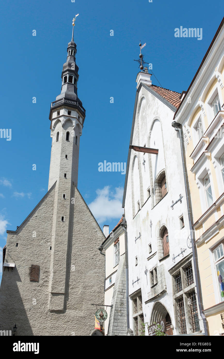 Tallinn Rathausturm aus Vanaturu Kael, Old Town, Tallinn, Harjumaa, Estland Stockfoto