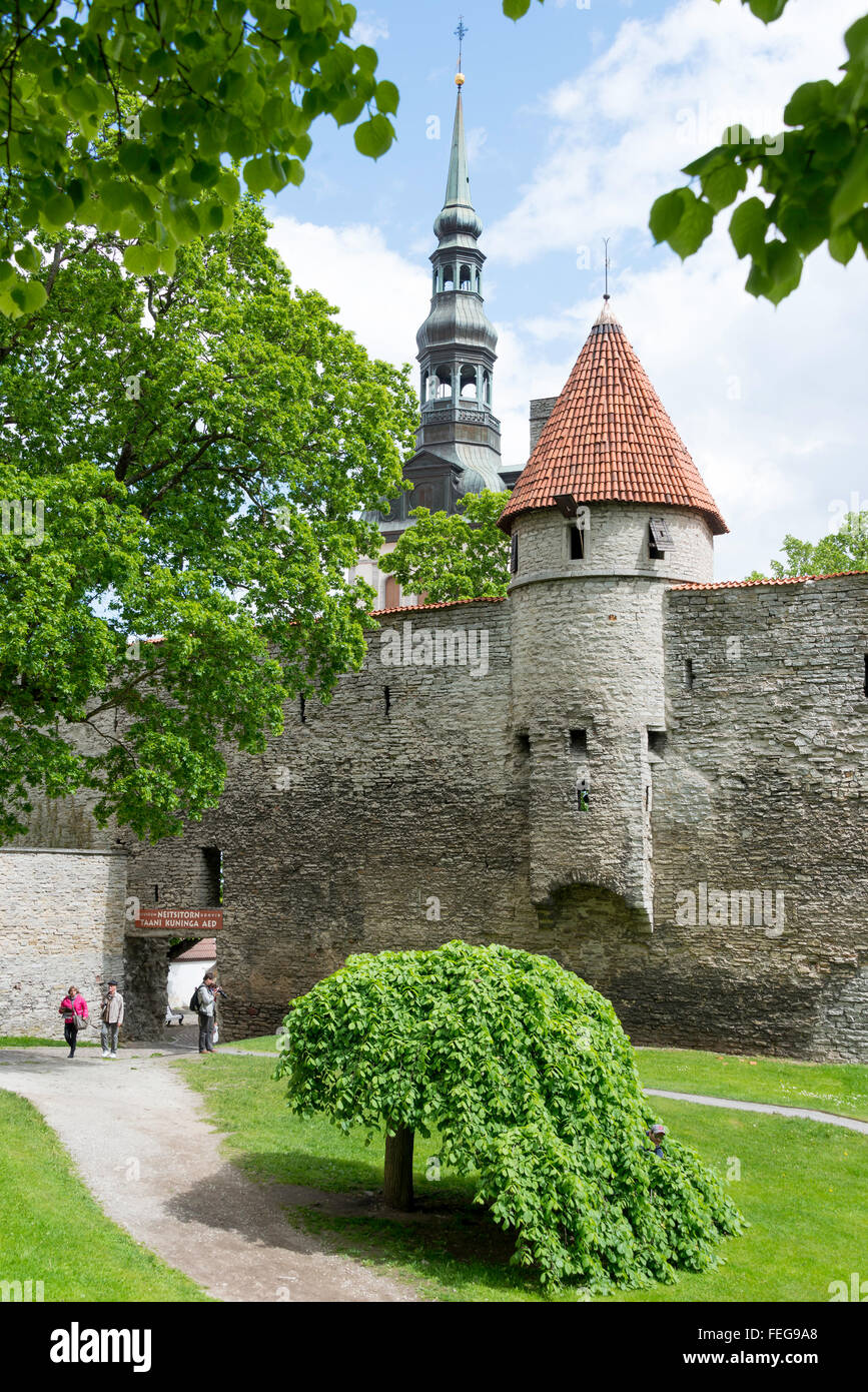 Alten Stadtmauern und St.-Nikolaus Kirche spire, Old Town, Tallinn, Harjumaa, Estland Stockfoto