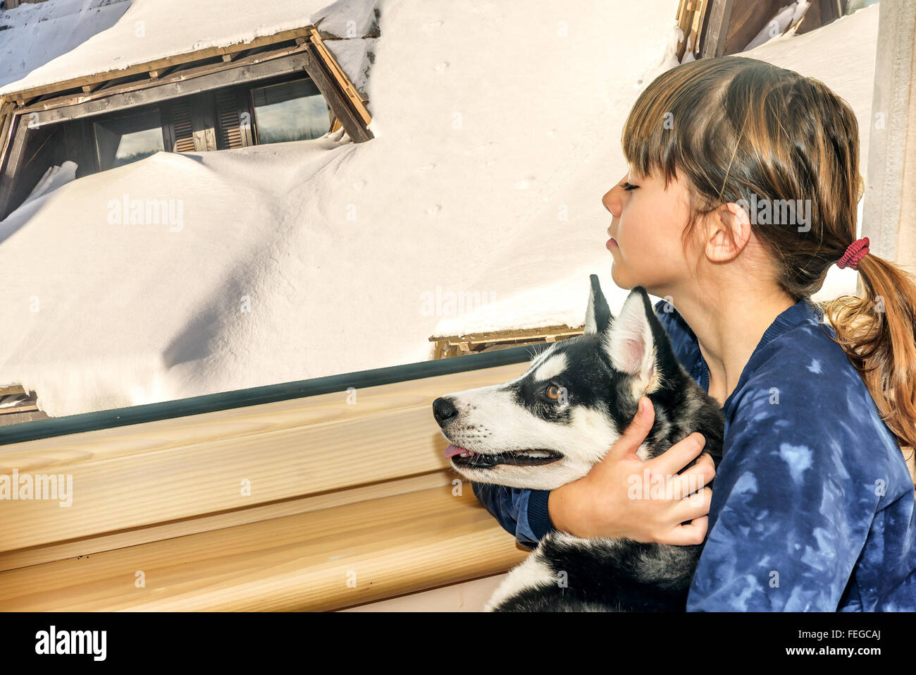 Kleines Mädchen mit dem husky Hund Blick durch das Fenster Stockfoto