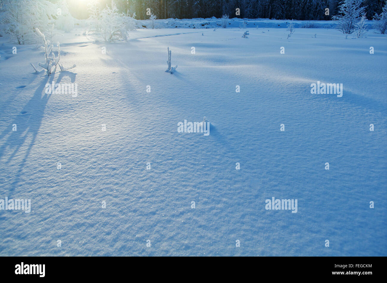 Winterlandschaft. Winter Beauty-Szene Stockfoto