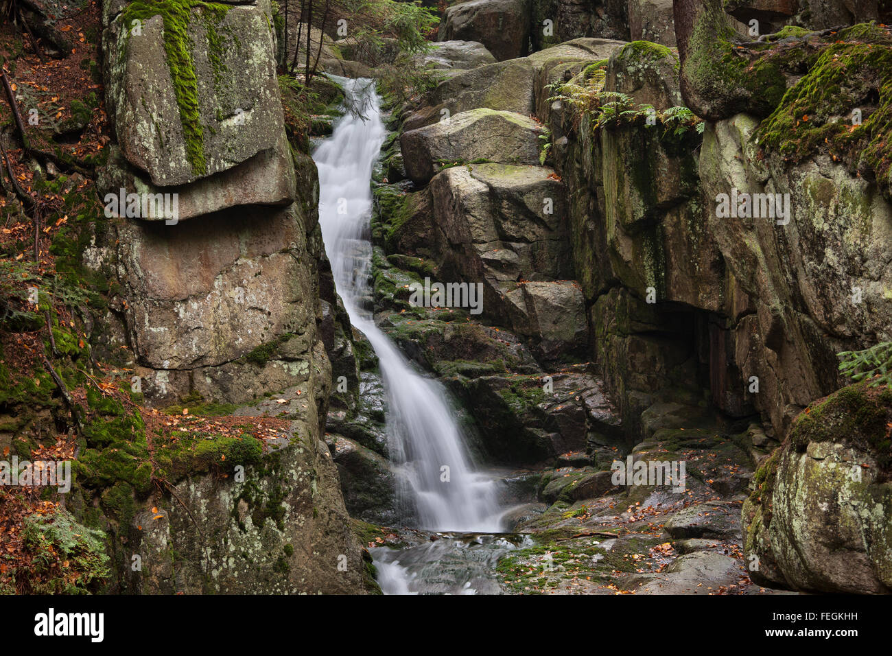 Podgorna Wasserfall Przesieka, Riesengebirge, Polen Stockfoto