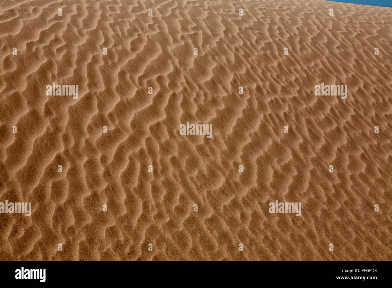 Wind-Muster auf den mobilen Sanddünen entlang der Kante des Lake Mungo Mungo National Park New South Wales Australien. Stockfoto