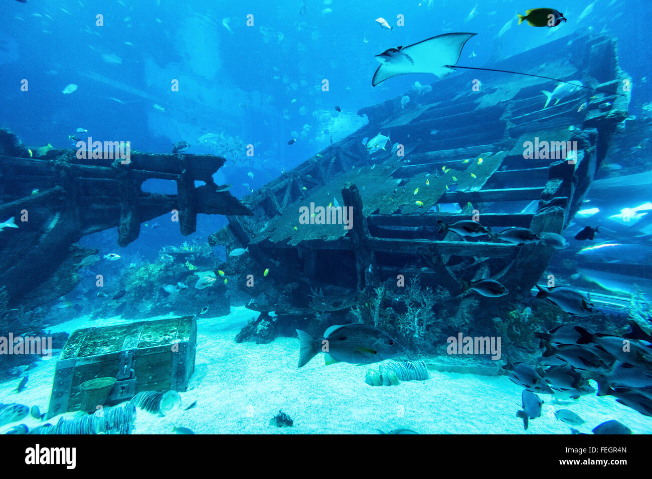 S.E.A Aquarium in Singapur Stockfoto