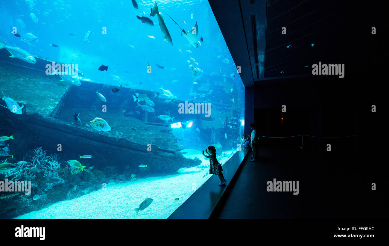 S.E.A Aquarium in Singapur Stockfoto