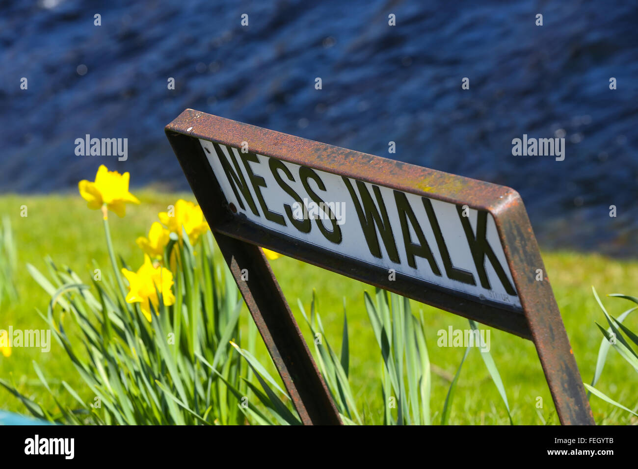 Straßenschild für Ness Walk neben den Fluss Ness in der Stadt Inverness in den Highlands von Schottland, UK, mit Narzissen Stockfoto