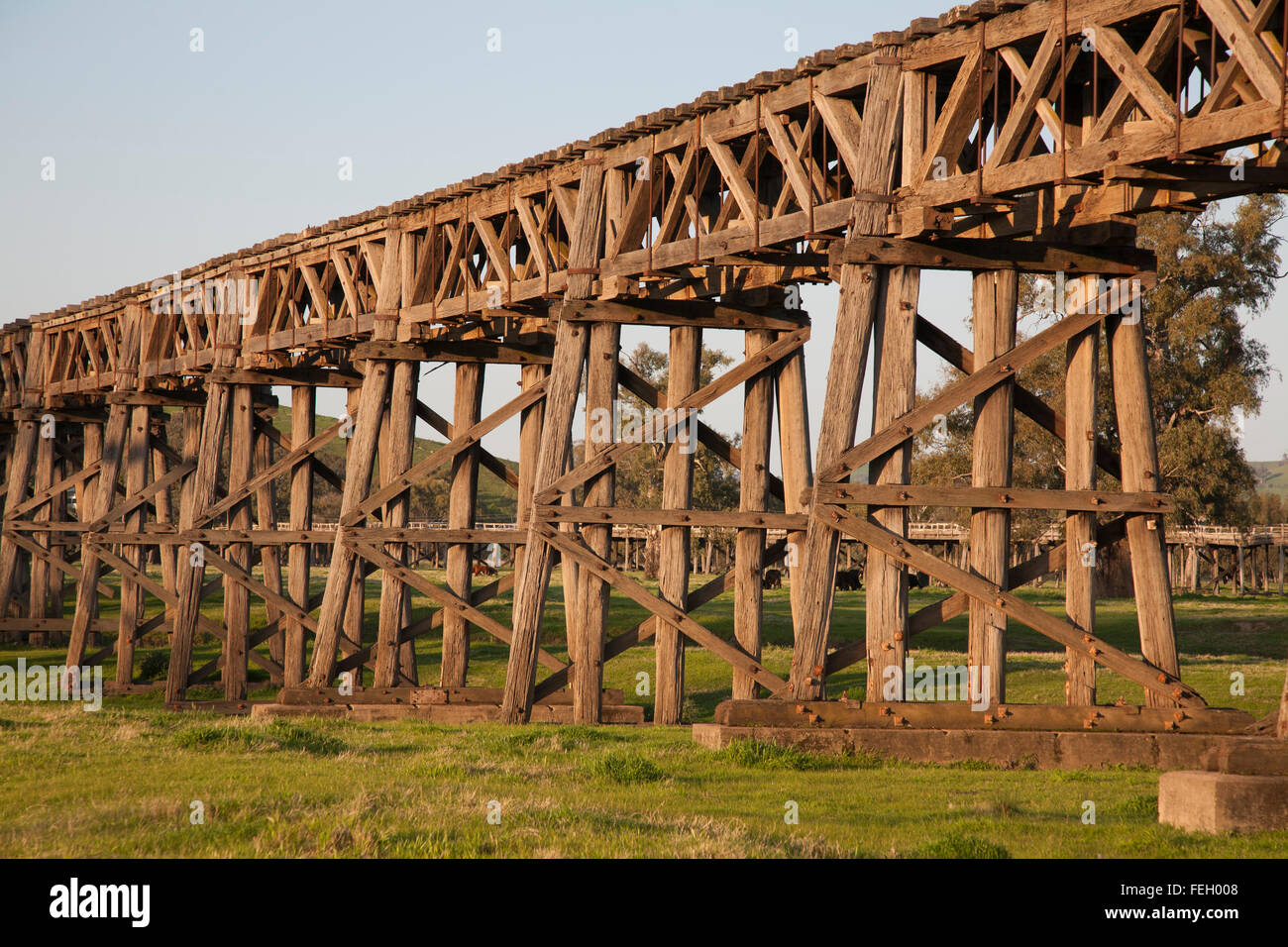 Die Eisenbahnbrücke (1903), der über den Murrumbidgee durchquert ist eine spektakuläre Gitterwerk der hölzernen Traversen Gundagai NSW Australia Stockfoto