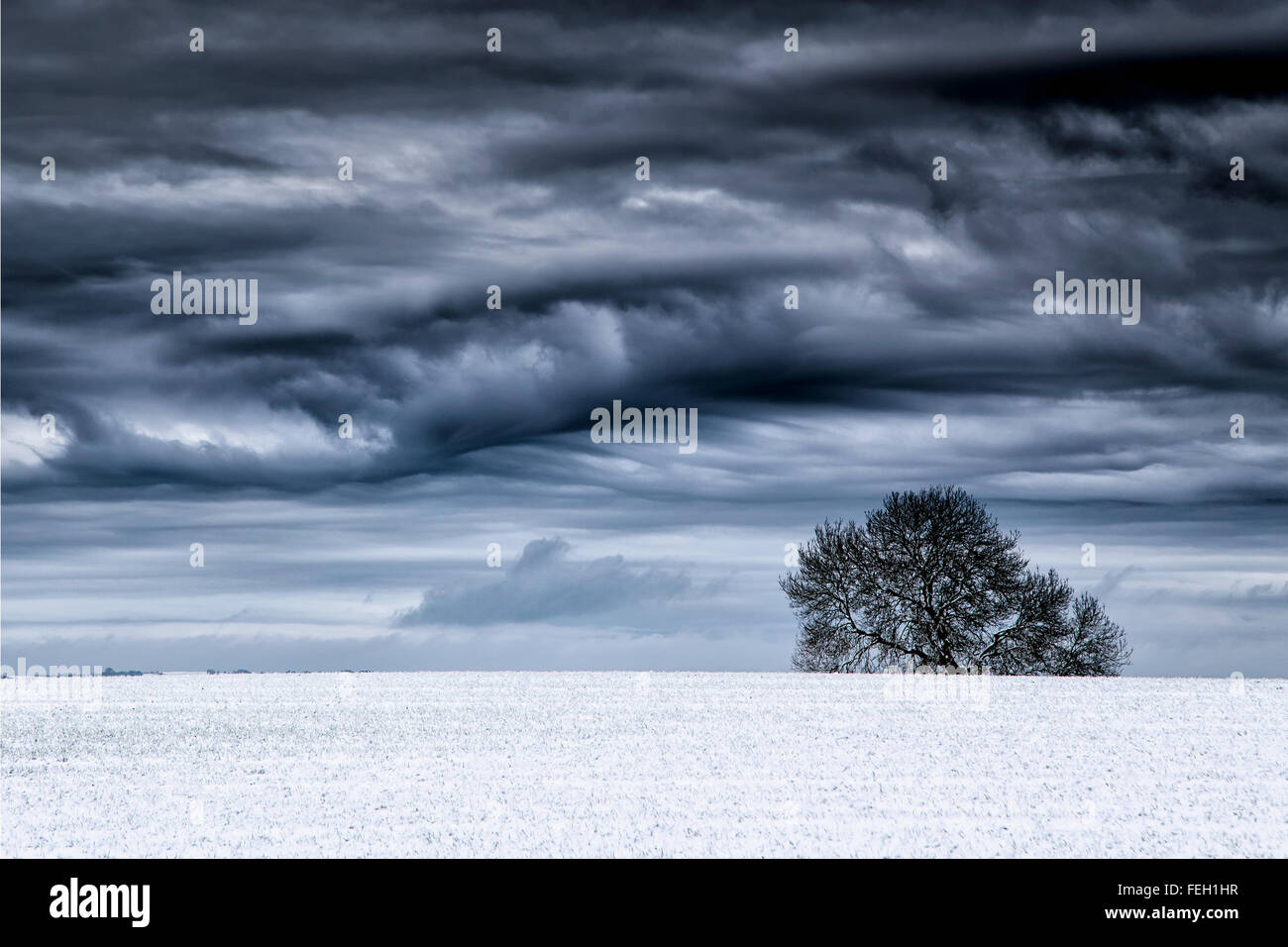 Ein einsamer Baum im Winter mit ein stimmungsvoller Himmel Stockfoto