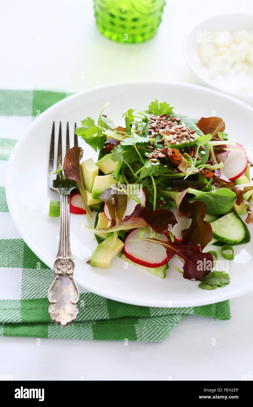 Rettich-Salat mit Avocado, Frühjahr Essen Stockfoto