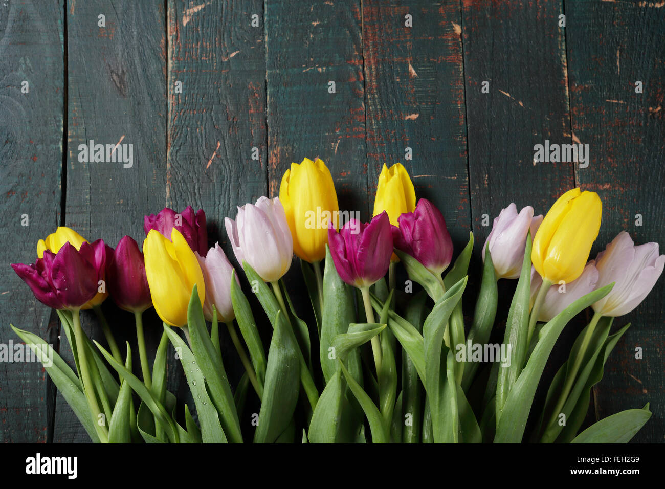 Frühlingsstrauß Tulpen auf alten Boards, Ansicht von oben Stockfoto