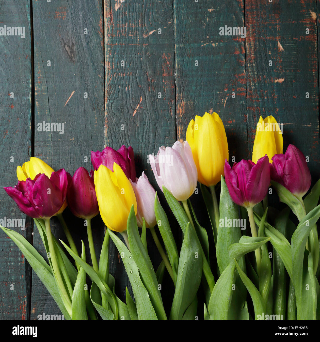 Frühlingsstrauß Tulpen auf Brettern Stockfoto