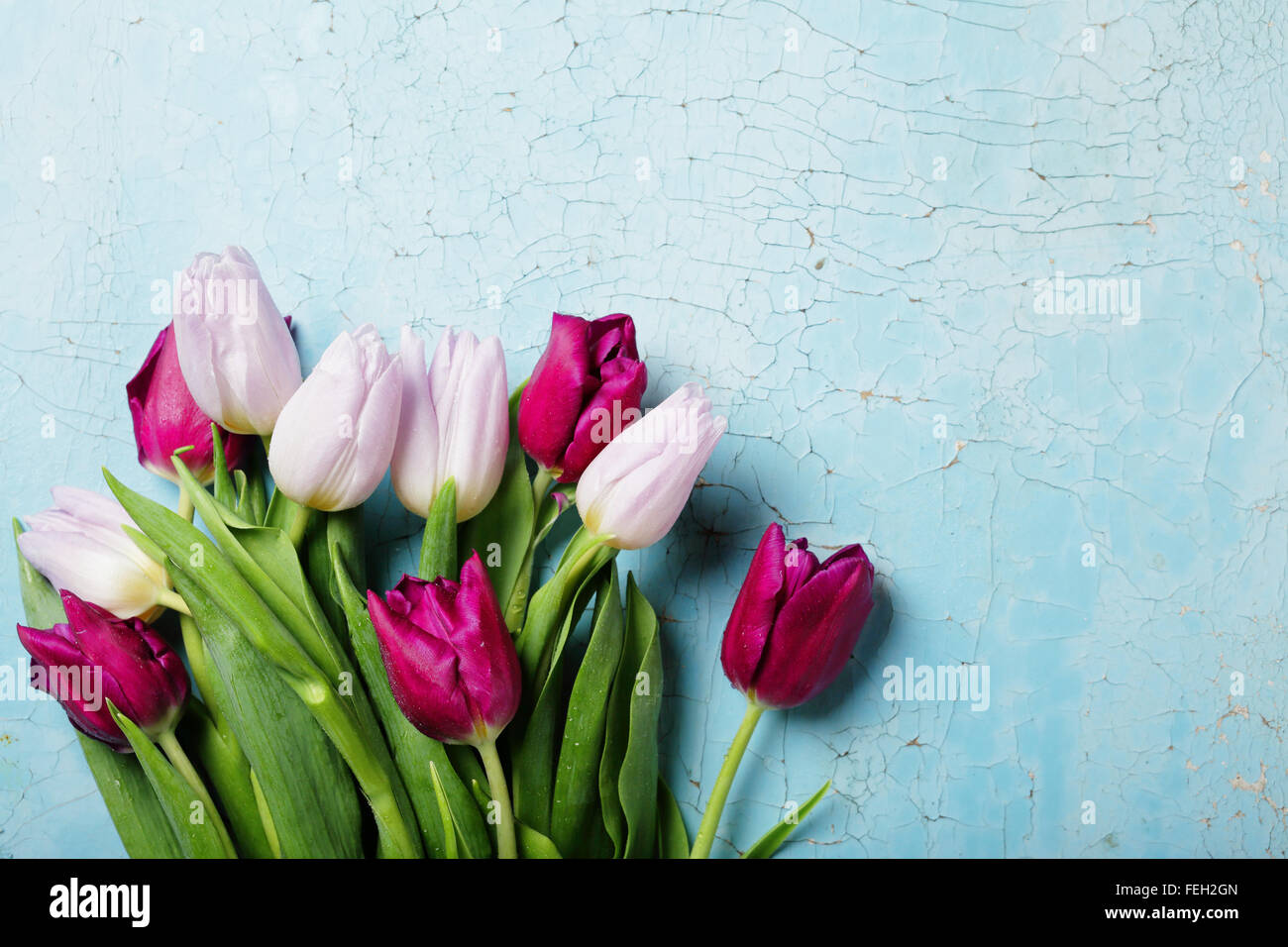 Tulpen auf alten blauen Hintergrund, Blumen Stockfoto