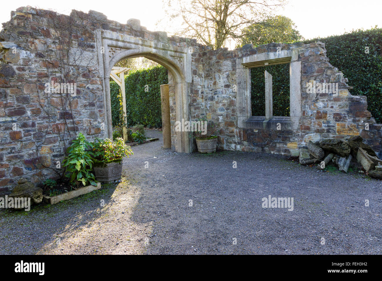 Ende des Winters Sonnenlicht leuchtet das rekonstruierte Mauerwerk der Reliquie Garten am Mt Edgcumbe, Cornwall Stockfoto