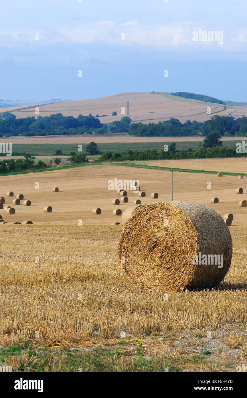 Ernte-Ballen in der Nähe von allen Cannings, Wiltshire, UK Stockfoto