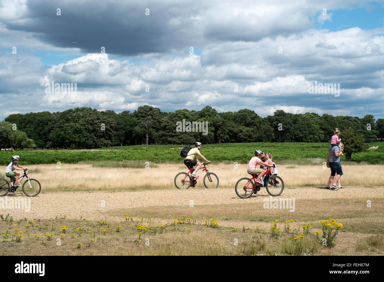 Richmond park Surrey Vergnügen Radfahren malerische London Stockfoto