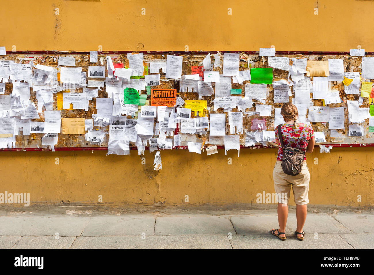 Universität Bologna, ein Student sucht Unterkunft Hinweise auf eine Wand im Universitätsviertel in Bologna, Emilia-Romagna, Italien. Stockfoto
