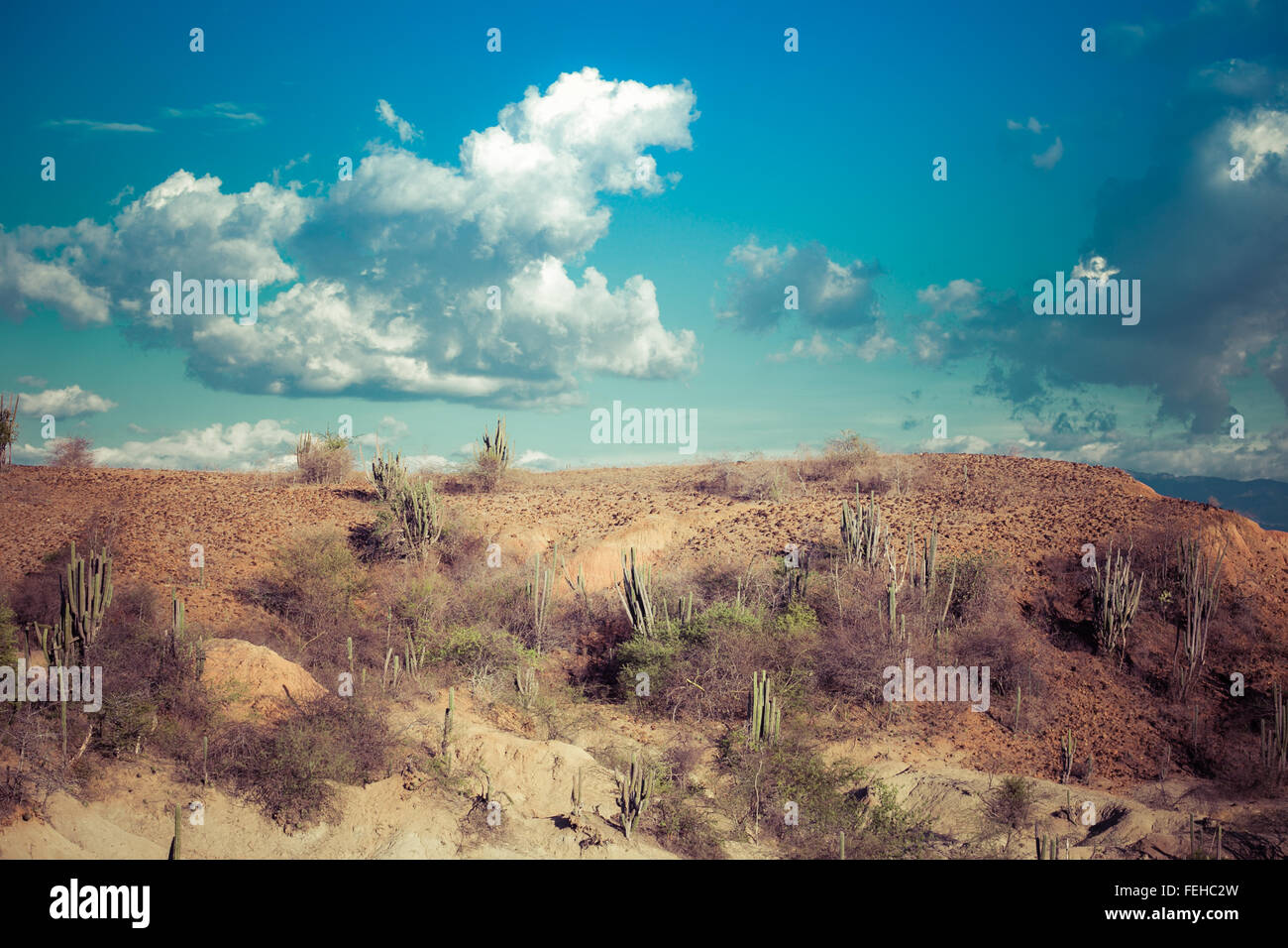großen Kakteen in rote Wüste, Wüste Tatacoa, Kolumbien, Lateinamerika, Wolken und Sand, roter Sand in der Wüste Stockfoto großen Kakteen in rote Wüste, Wüste Tatacoa, Kolumbien, Lateinamerika, Wolken und Sand, roter Sand in der Wüste Stockfoto