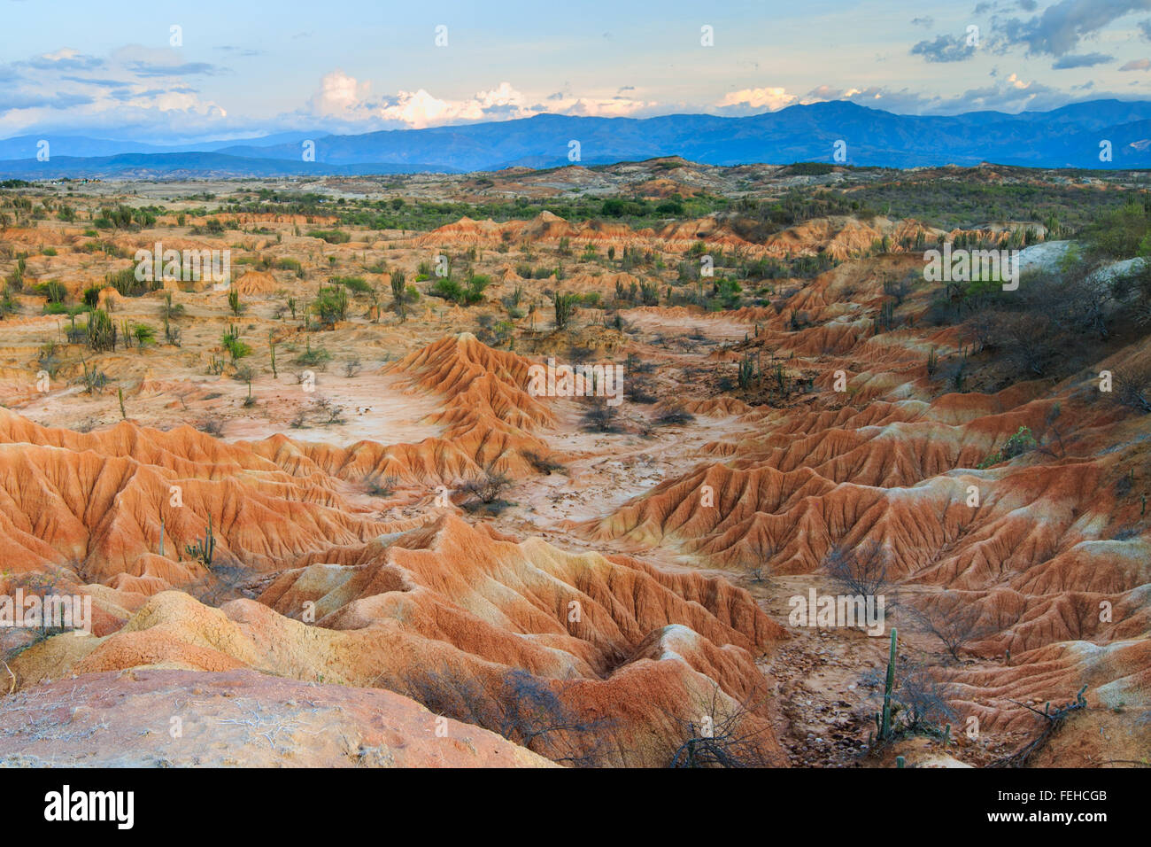 großen Kakteen in rote Wüste, Wüste Tatacoa, Kolumbien, Lateinamerika, Wolken und Sand, roter Sand in der Wüste Stockfoto großen Kakteen in rote Wüste, Wüste Tatacoa, Kolumbien, Lateinamerika, Wolken und Sand, roter Sand in der Wüste Stockfoto