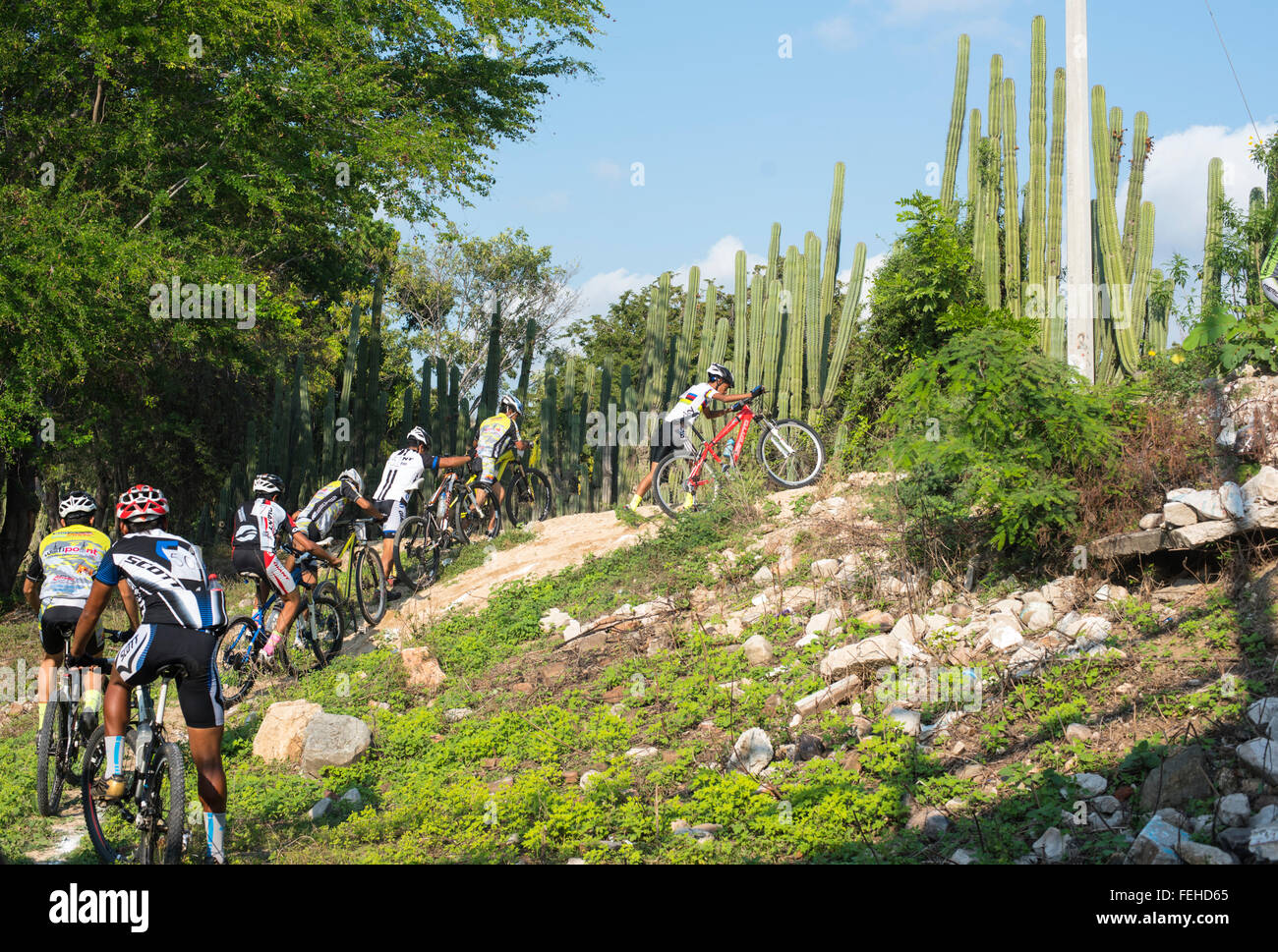 Mountainbike-Rennen Stockfoto