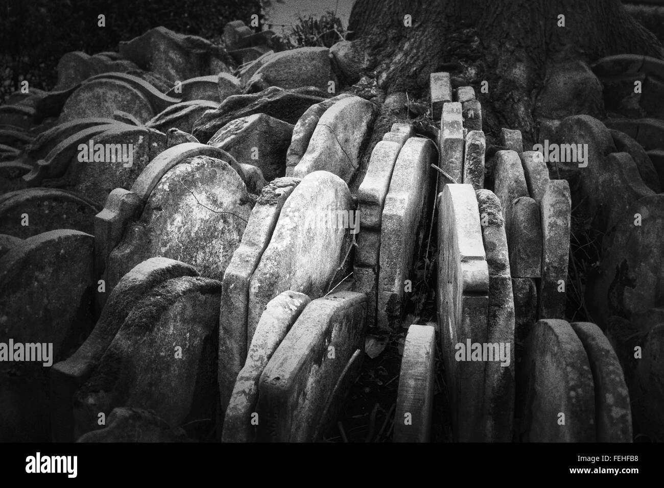 Hardy Baum Grabsteine auf dem Friedhof der alten Kirche St. Pancras in London Stockfoto