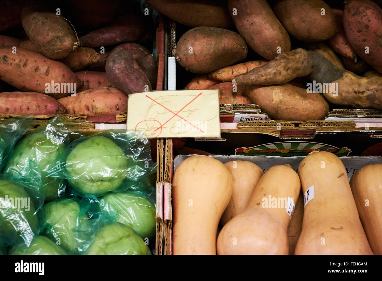 Nicht berühren. Gemüse wie Süßkartoffeln und Squash Box auf einem Regal in einem Geschäft. Stockfoto