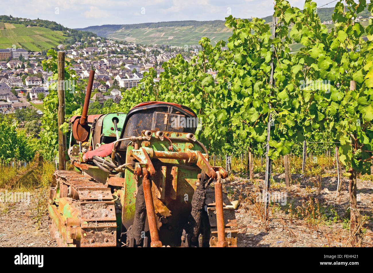 Moseltal - Deutschland: Blick auf Weinberge in der Nähe der Stadt Bernkastel-Kues Stockfoto