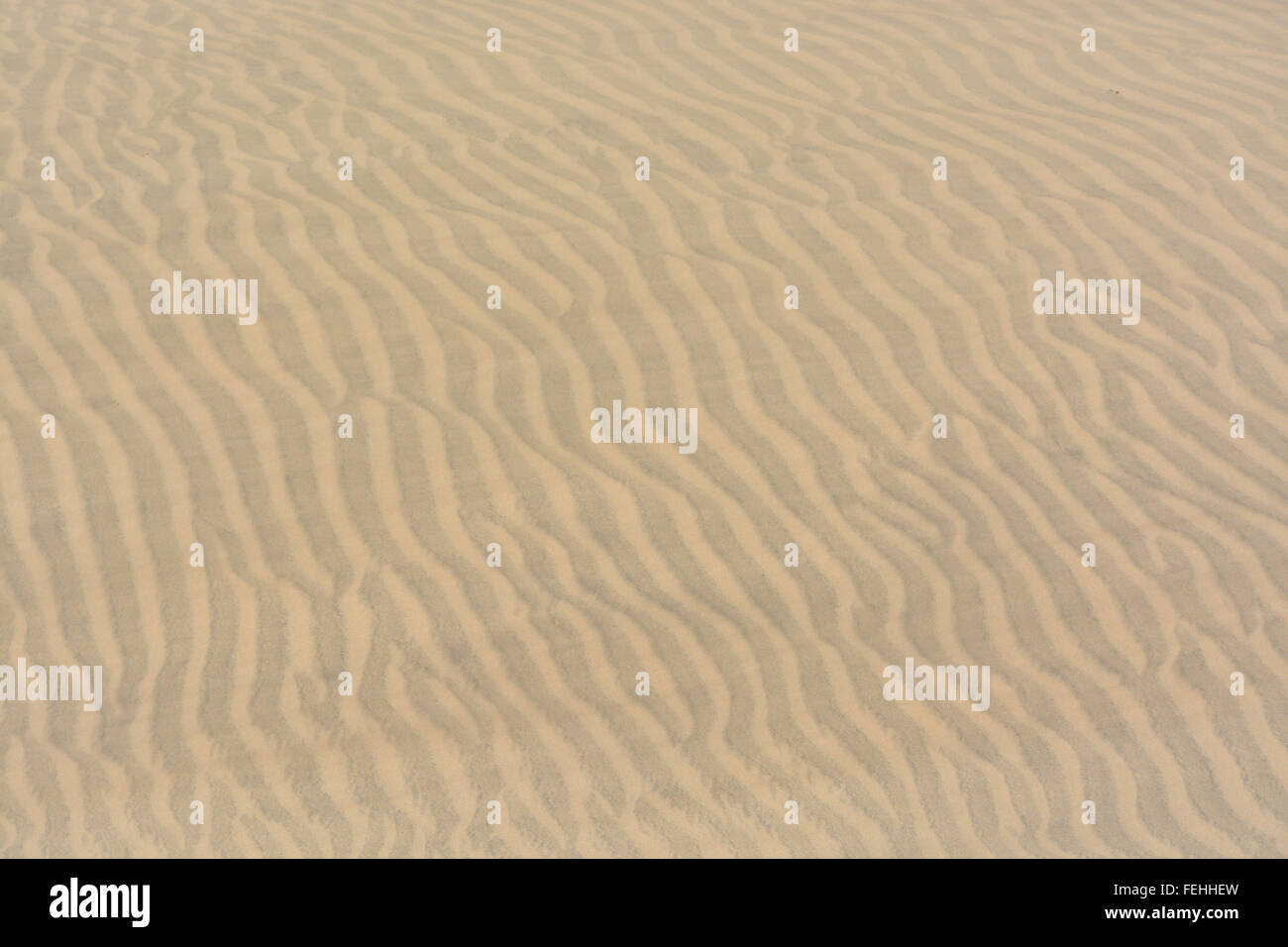 Textur, Muster, Hintergrund, der Sand in den Dünen von Maspalomas, Gran Canaria, Gran Canaria, Spanien Stockfoto
