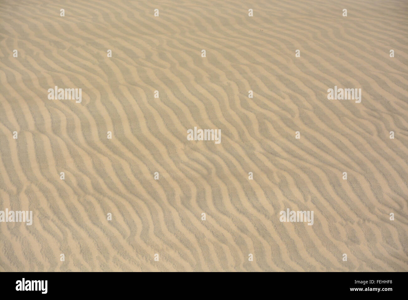 Textur, Muster, Hintergrund, der Sand in den Dünen von Maspalomas, Gran Canaria, Gran Canaria, Spanien Stockfoto