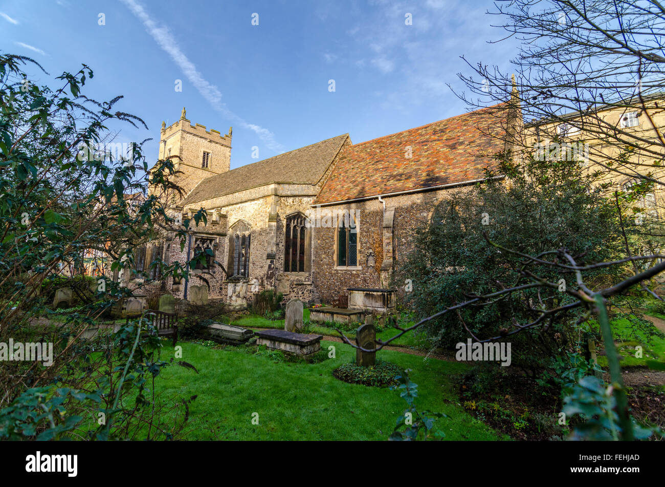 Pfarrkirche Saint Botolph, Cambridge, UK Stockfoto