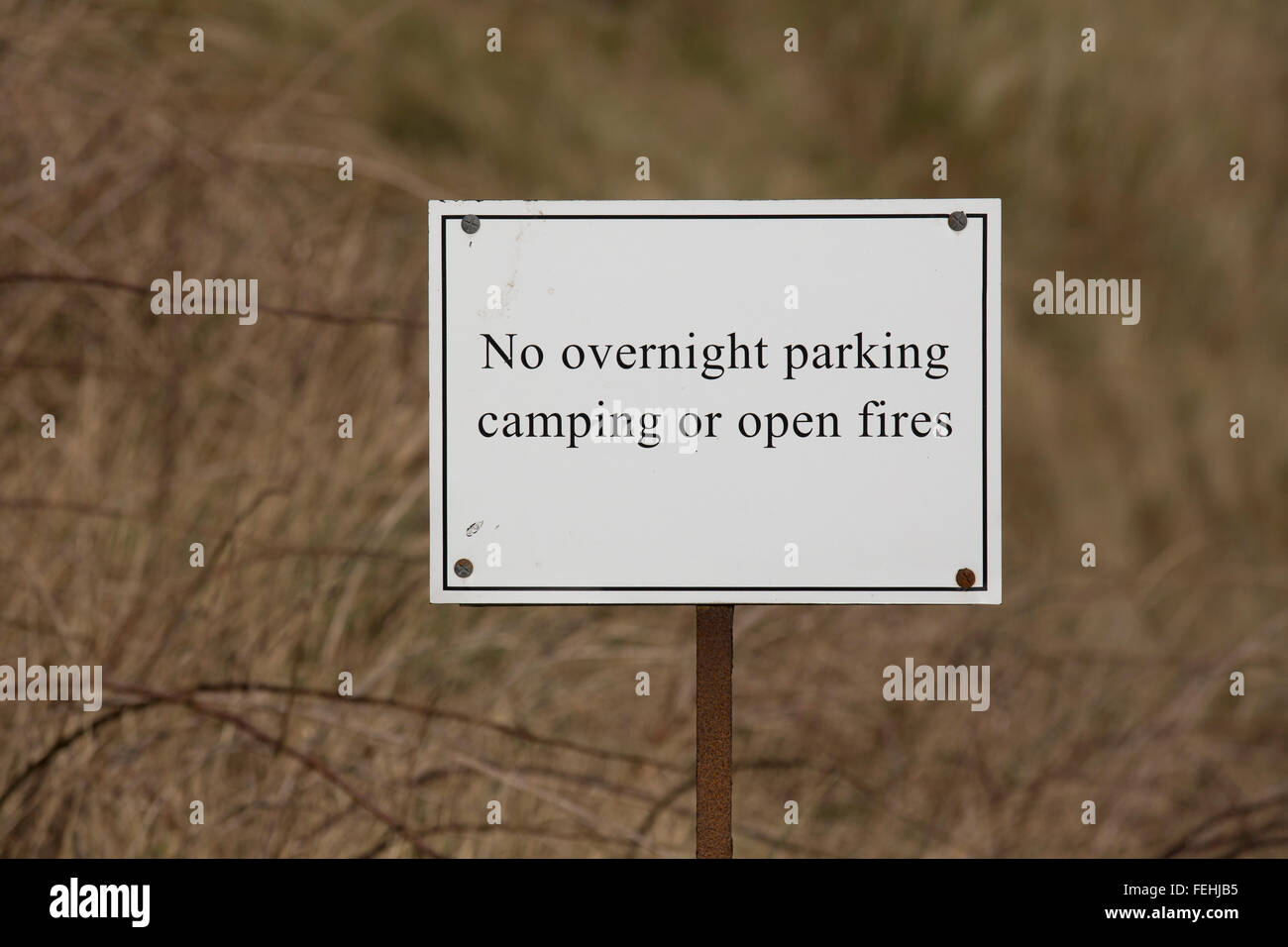 Ein No Overnight Parking, Camping oder offenes Feuer Zeichen bei North Sunderland in Northumberland, England. Das Zeichen ist in den Dünen. Stockfoto