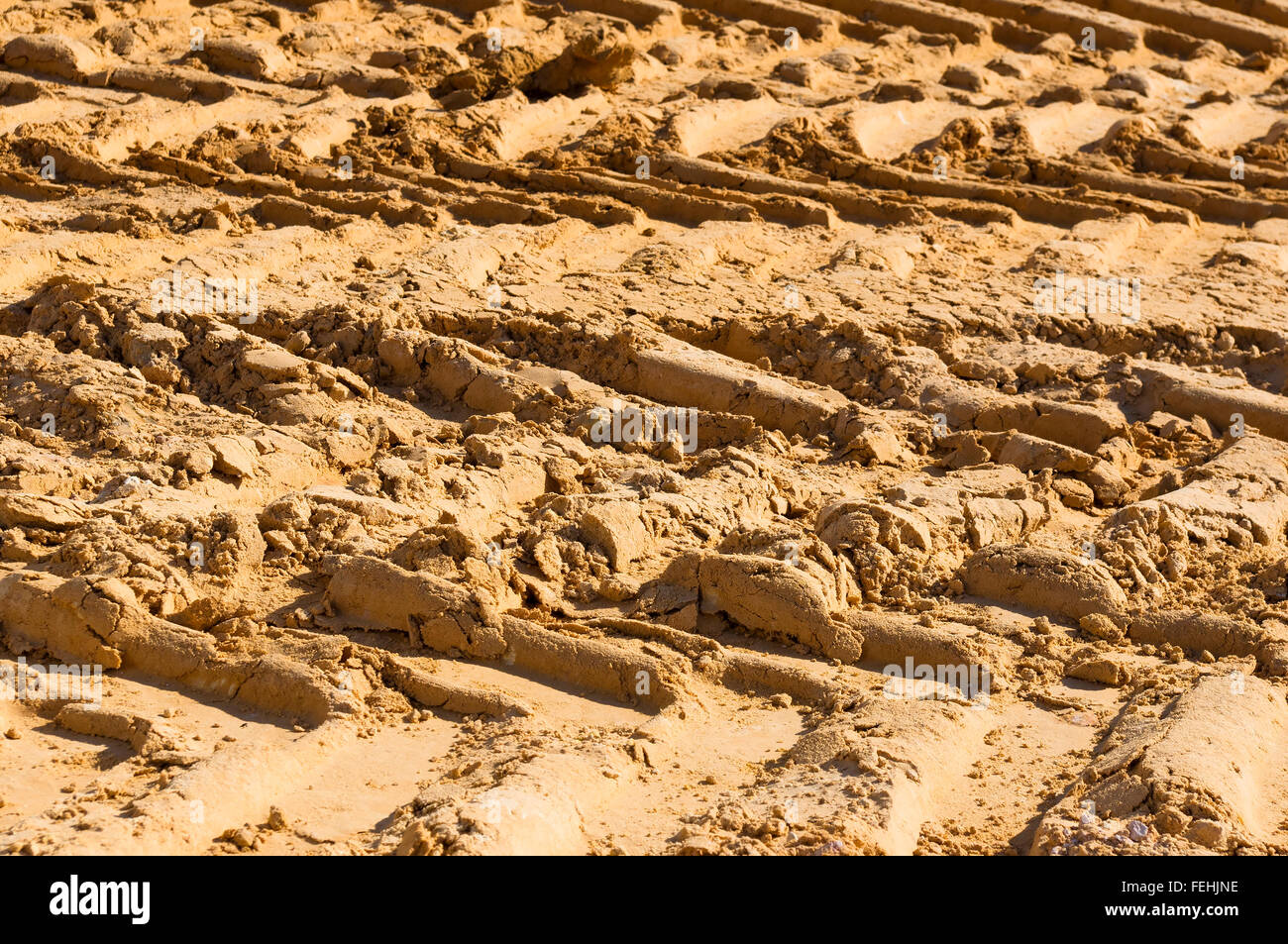 Reifenspuren eines großen Trucks auf dem Sand in sonnigen Tag Stockfoto