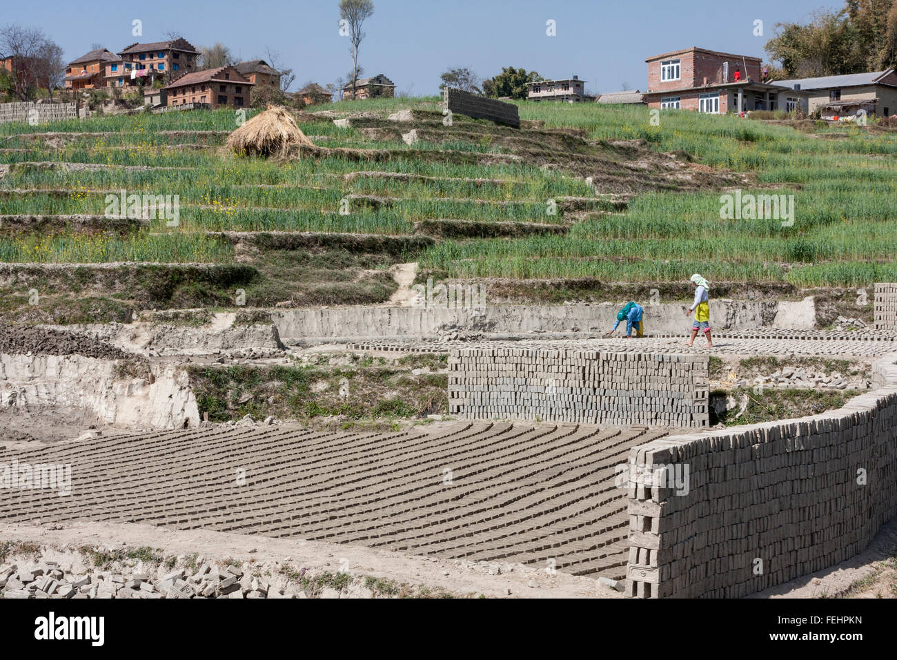 Bhaktapur, Nepal.  Lehmziegel, trocknen in der Sonne.  Ländliche Häuser am Hang. Stockfoto