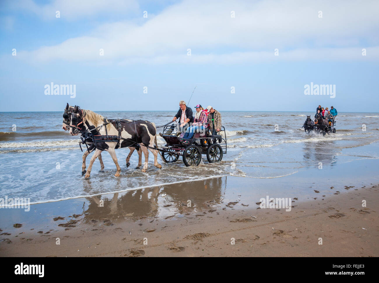 Niederlande, Südholland, Noordwijk, Spaß beim Pferd-Drwan Kutschfahrten in der Brandung von Langevelderslag Beach Stockfoto